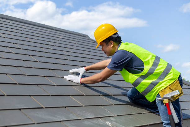 Best Roof Repair Services  in Camden, NJ