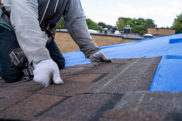 Best Roof Waterproofing Services  in Camden, NJ