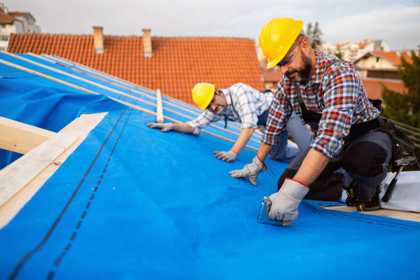 Best Sealant for Roof  in Camden, NJ