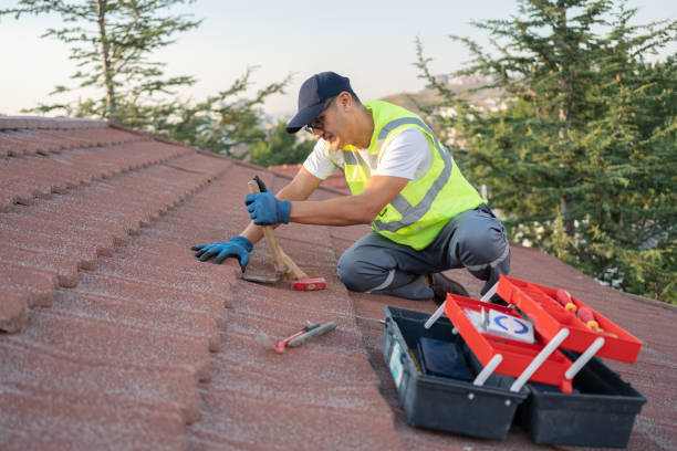 Best New Roof Installation  in Camden, NJ
