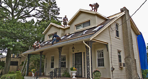 Best Flat Roof Repair Services  in Camden, NJ